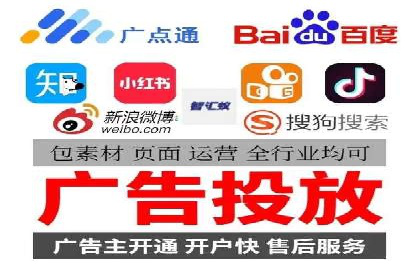 百度广告投放策略与效果评估案例